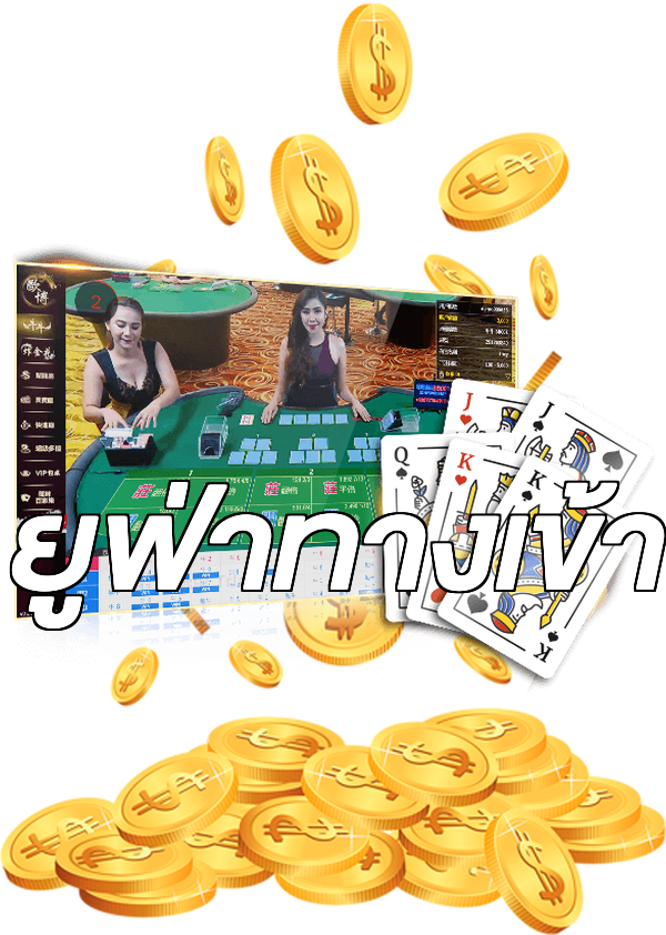 ยูฟ่าทางเข้า